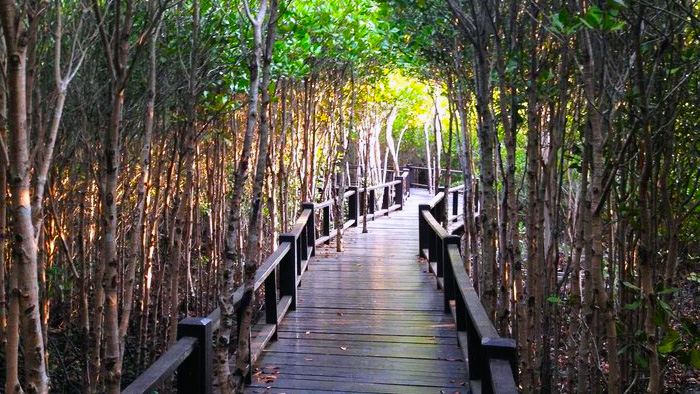 Pranburi Forest Park