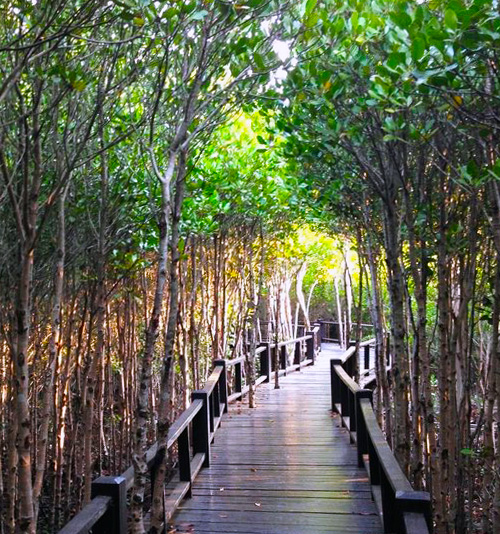 Pranburi Forest Park