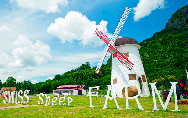 Swiss Sheep Farm
